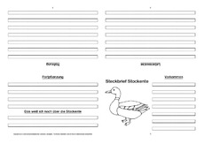 Stockente-Faltbuch-vierseitig-1.pdf